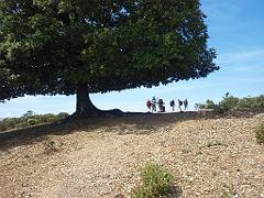 2009-05Corse (101)